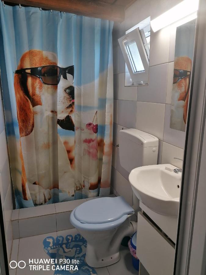 Casa Stefy Vama Veche วามาเวเก ภายนอก รูปภาพ